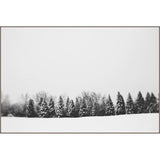 Pine Line Art