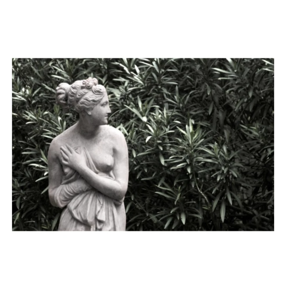 Gazing in the Garden Art