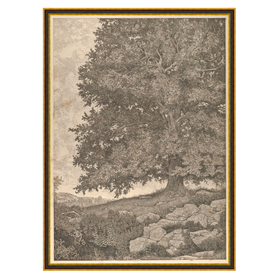 Grandfather's Tree Art
